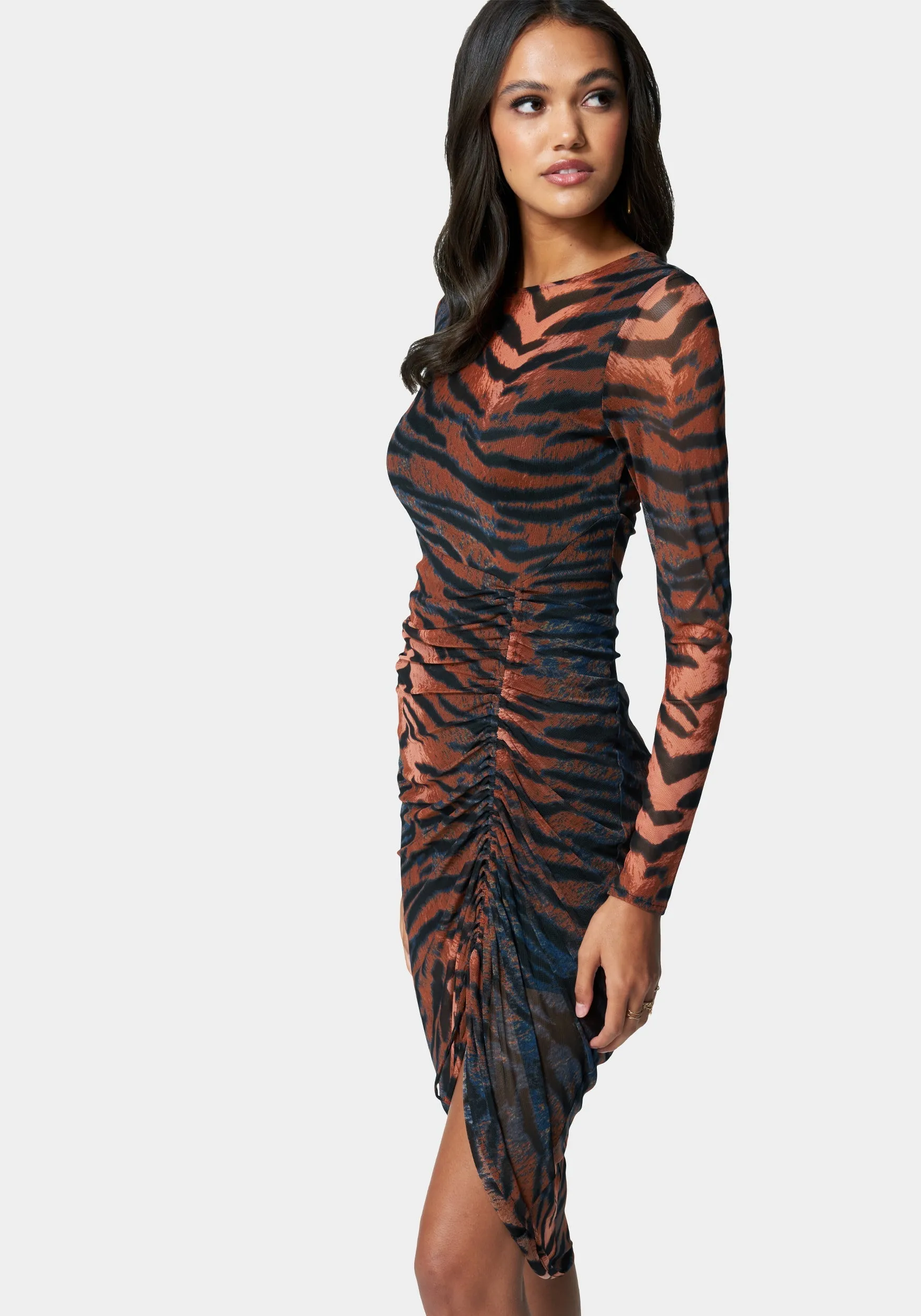 Printed Long Sleeve Ruched Mesh Dress